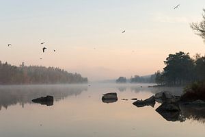 Morgenstimmung am See... Schweden *Südschweden*