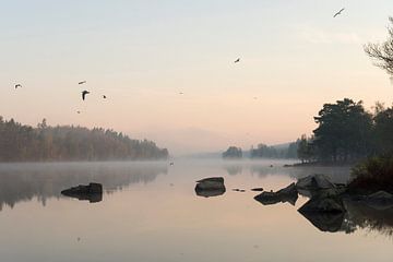 in Sweden... Lake *early morning mood* van wunderbare Erde