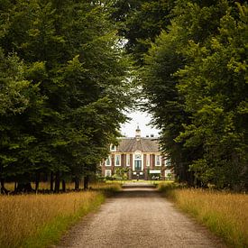 Kasteel De Wiersse van Ada Zyborowicz