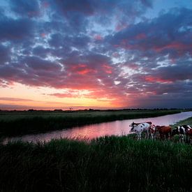 Hollands schilderwerk in de polder. von Teun IJff