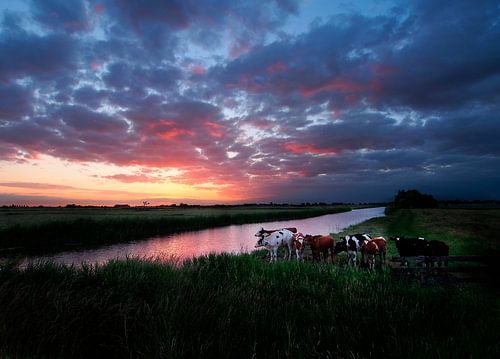 Hollands schilderwerk in de polder. by Teun IJff