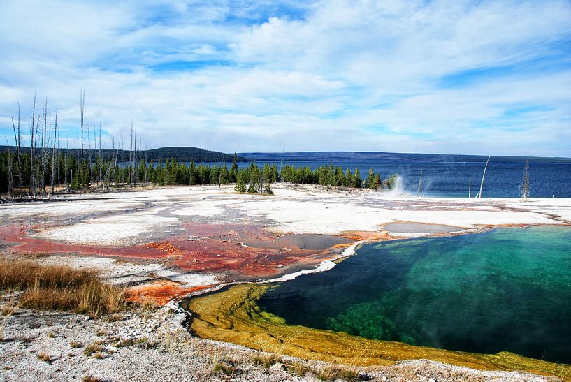 YELLOWSTONE NATIONAL PARK -  USA von Roelof Touw