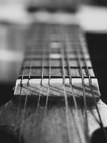 Toets van een Banjo Mandoline