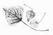 Grafik Botanisch Japandi 3 Basic von Alie Ekkelenkamp