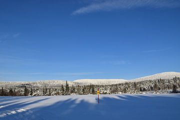 Een ijzig bos onder een winterse hemel van Claude Laprise