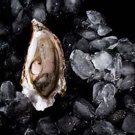 Oyster on ice by Stephanie Verbeure