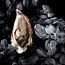 Oesters