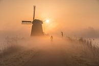 Fietsen door de mist bij een molen op een zonnige ochtend van Jeroen de Jongh thumbnail