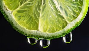 Detaillierte Nahaufnahme einer frischen Limettenscheibe