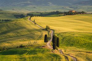 Gladiator Avenue