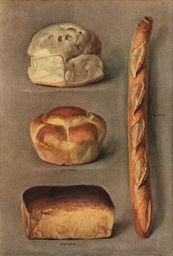 Vintage verzameling van verschillende soorten gebakken brood, De kruideniersencyclopedie van Vintage Afbeeldingen
