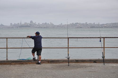 Vissen met een uitzicht
