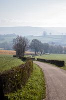 Landscape in South Limburg