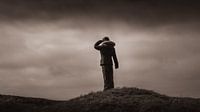 Overlooking the landscape of Texel
