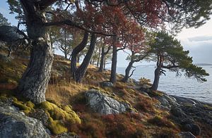 Herbstlandschaft