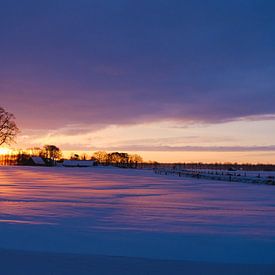 winter zonlicht van P Hogeveen