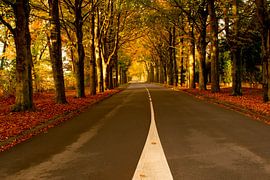 Soulever des feuilles dans une rue sur Jolanda de Jong-Jansen