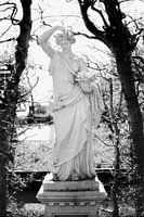 The statue in the beech lane