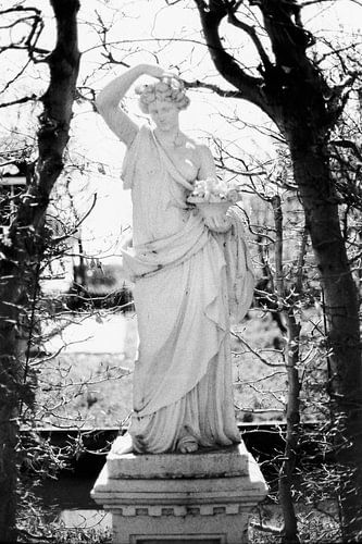 Het beeld in het beukenlaantje