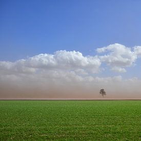 Tempête de sable à travers les champs sur Fred van Bergeijk