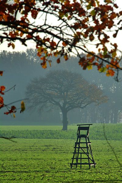 Hoge zitting van Edgar Schermaul