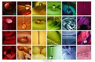 Collage - Beauty of colors van Angelique Brunas thumbnail