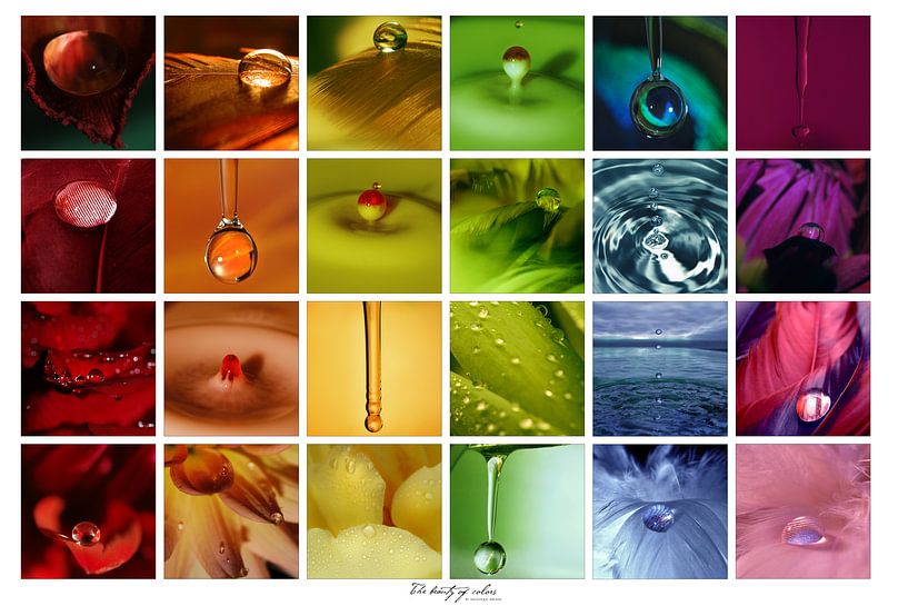 Collage - Beauty of colors van Angelique Brunas