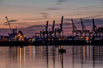 waalhaven rotterdam zonsondergang ecthome kranen containers van Marco van de Meeberg