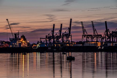 waalhaven rotterdam sunset ecthome cranes container