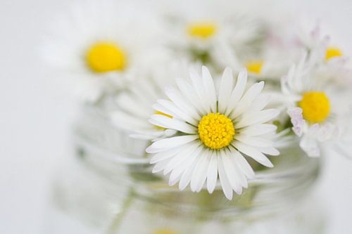 For You