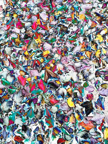 Abstract in multicolour