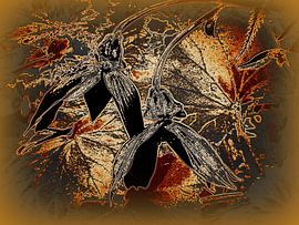 Blumen-Romantik by Heidrun Carola Herrmann