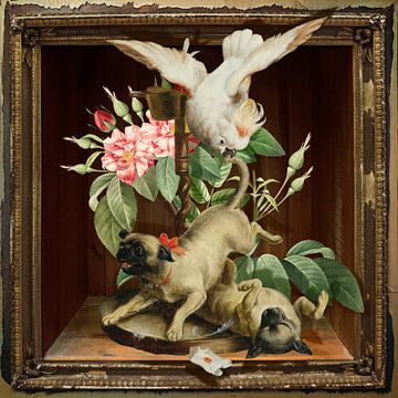 Shadowbox van Marja van den Hurk