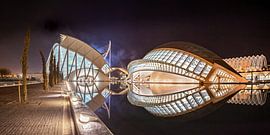 Valencia city of arts and sciences by Ko Hoogesteger