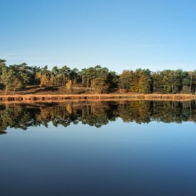 Fantastische reflectie van een bos in een meer van Patrick Verhoef