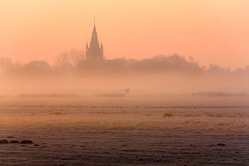 Een Koude Winterochtend