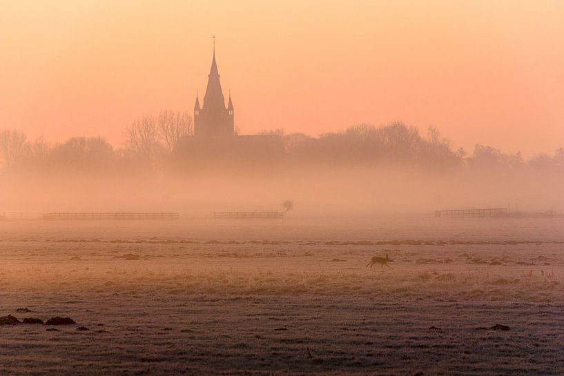 Ein kalter Wintermorgen von Koen Boelrijk Photography