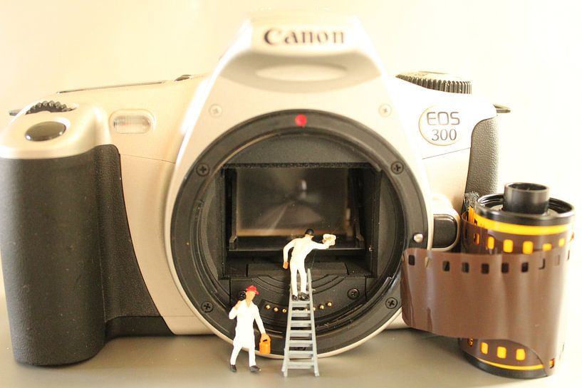 photography by Helen Puts