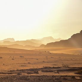 Woestijn van Jordanie, Midden oosten van Hermineke Pijls