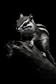 Squirrel by Poster Art Shop
