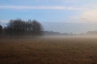 Mist, maakt de ochtend speciaal. De deken die oplost, de zon komt door.