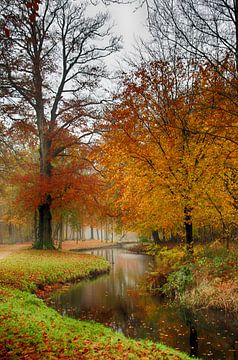 Herfst landgoed Groeneveld Baarn van Watze D. de Haan