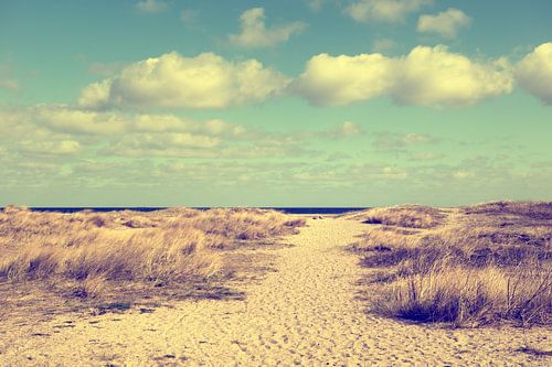 Pieds nus sur la plage 