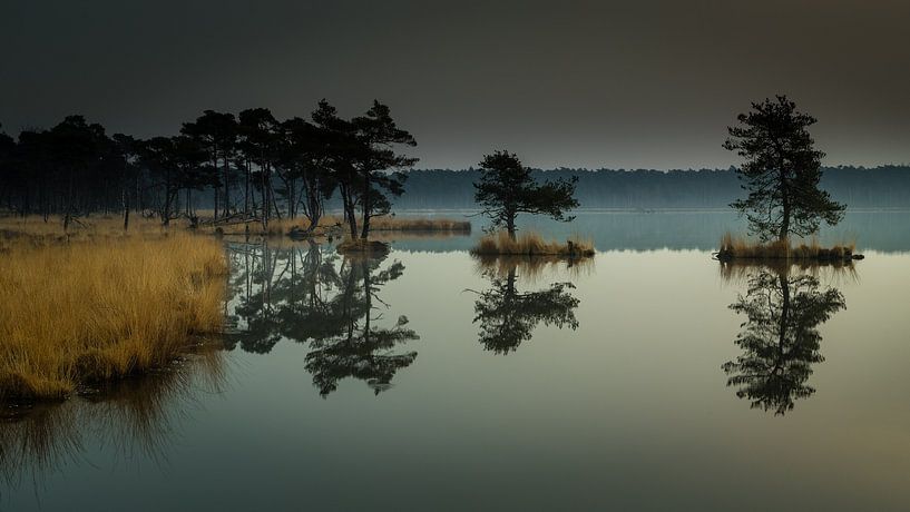 Reflexion im Wasser von René Groenendijk