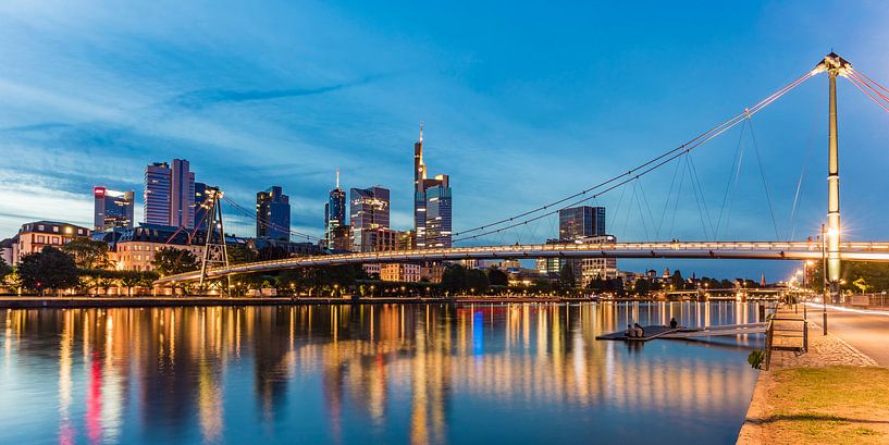 Skyline van Frankfurt am Main 's nachts van Werner Dieterich