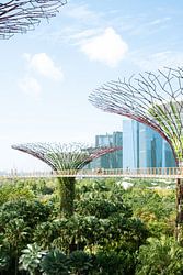 Les super arbres de Gardens By The Bay, Singapour