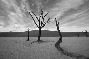 Deadvlei sous de beaux nuages sur Felix Sedney