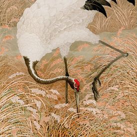 Kraanvogel illustratie japandi stijl van Kjubik