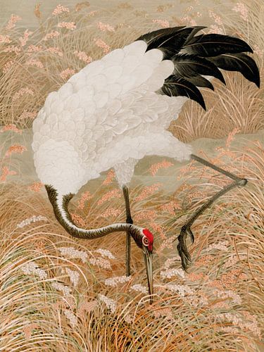 Kraanvogel illustratie japandi stijl