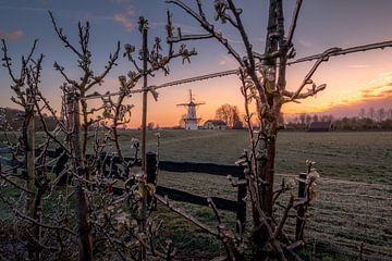 Molen De Vlinder aan de rivier de Linge in de Betuwe